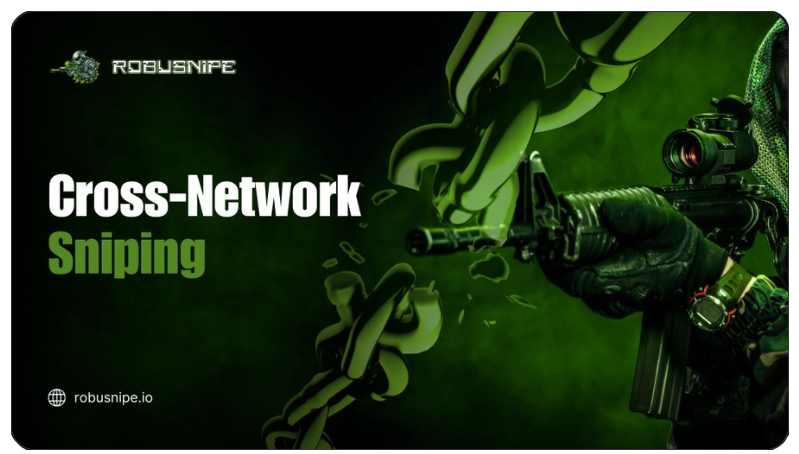 RobuSnipe Cross-Network