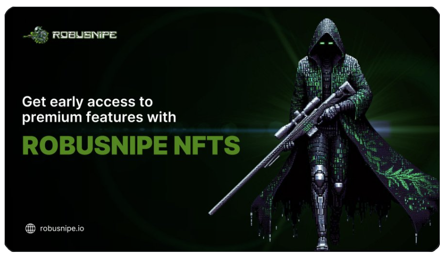 RobuSnipe NFTs